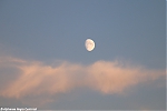 s8891_ARC-Foto_How_high_the_moon.jpg
